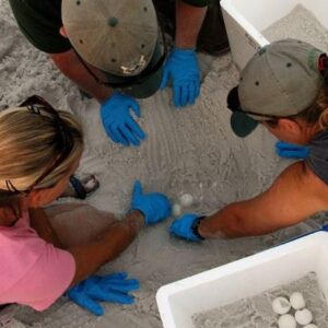 2D1N Satang Island (Pulau Satang Besar)