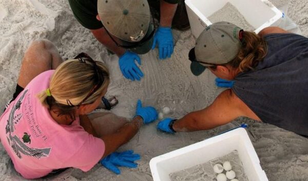 2D1N Satang Island (Pulau Satang Besar)