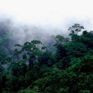 3D2N Bintulu Similajau National Park