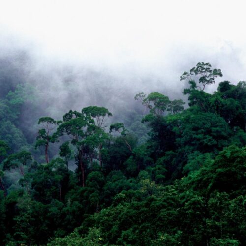 2D1N Satang Island (Pulau Satang Besar)