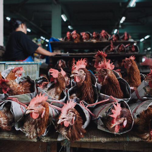 5D4N Sarikei Sibu Mukah