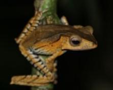 4d3n-kuching-photography-2.jpg 4D3N Kuching Photography