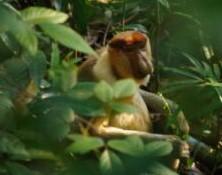 4d3n-kuching-photography-3.jpg 4D3N Kuching Photography