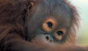 4d3n-kuching-photography-4.jpg 4D3N Kuching Photography