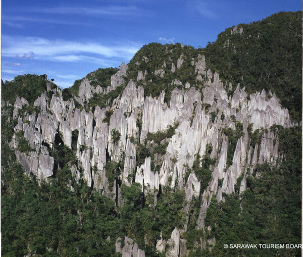 4D3N Mulu Pinnacles