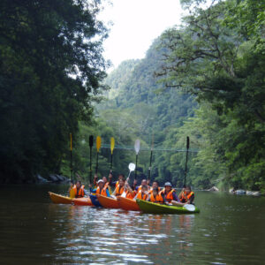 4D3N Rainforest Explore