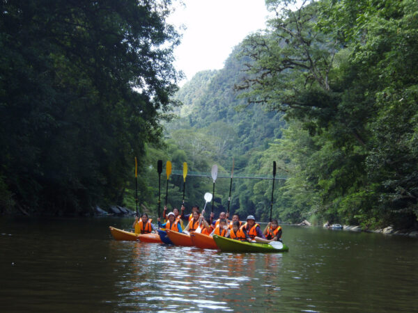 4D3N Rainforest Explore