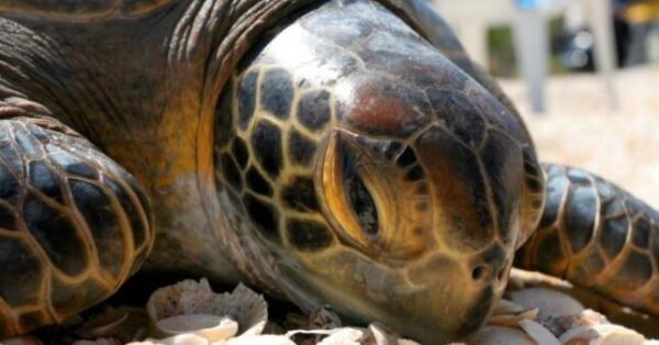 5d4n-talang-satang-national-park-1.jpg 5D4N Talang Satang National Park