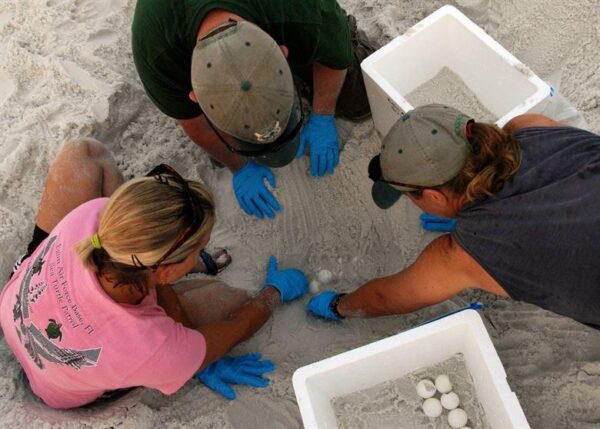 5d4n-talang-satang-national-park-3.jpg 5D4N Talang Satang National Park